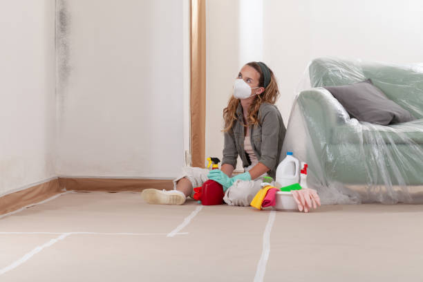 Reliable Black Mold Removal contractor in Evans, GA by WQB Mold Removal